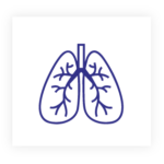 وحدة الجهاز التنفسي والحساسية