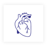 عيادات القلب والأوعية الدموية
