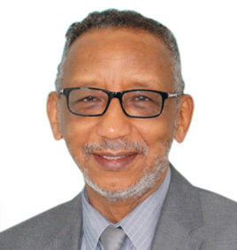 Prof. Ahmed Abdel - Gadir Mohamed