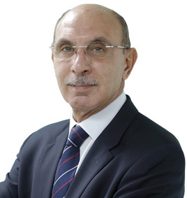 د. محمد بكري